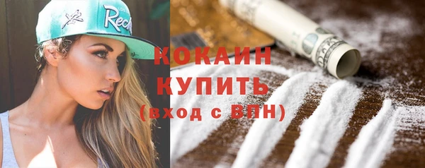 mdpv Заводоуковск