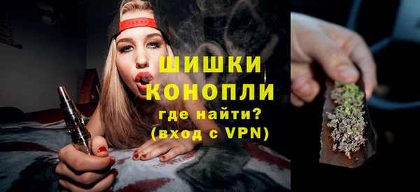 mdpv Заводоуковск