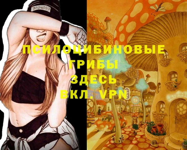 mdpv Заводоуковск