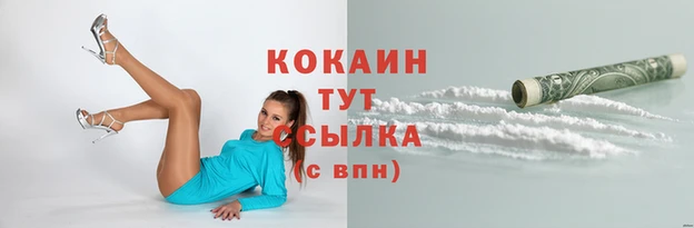 apvp Заволжск