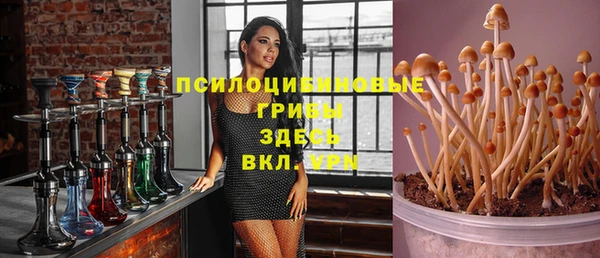 ALPHA PVP Заволжье