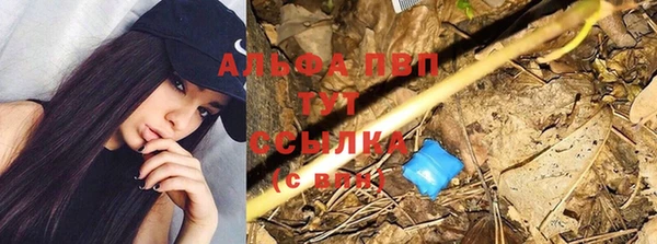 apvp Заволжск