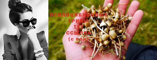 спайс Усмань