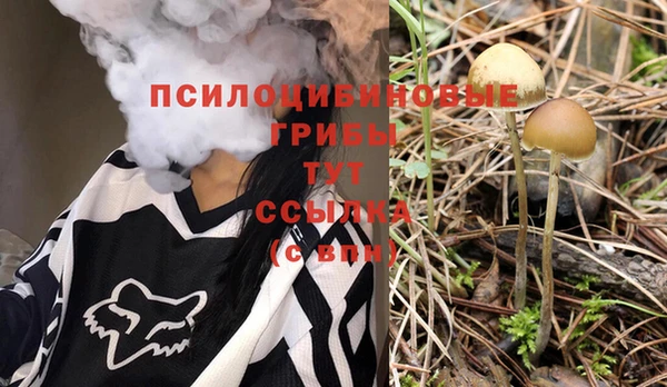 ALPHA PVP Заволжье