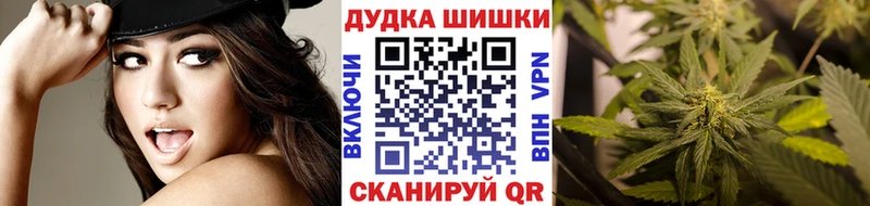 Марихуана план  где продают наркотики  Заинск 